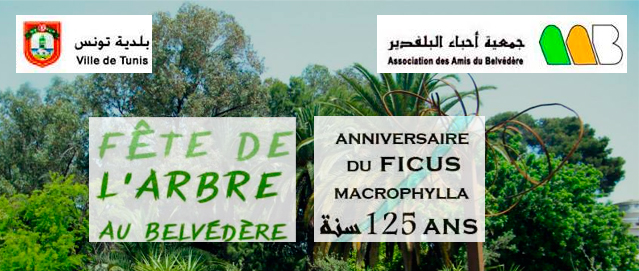 Le Belvédère célèbre la Fête de l’arbre