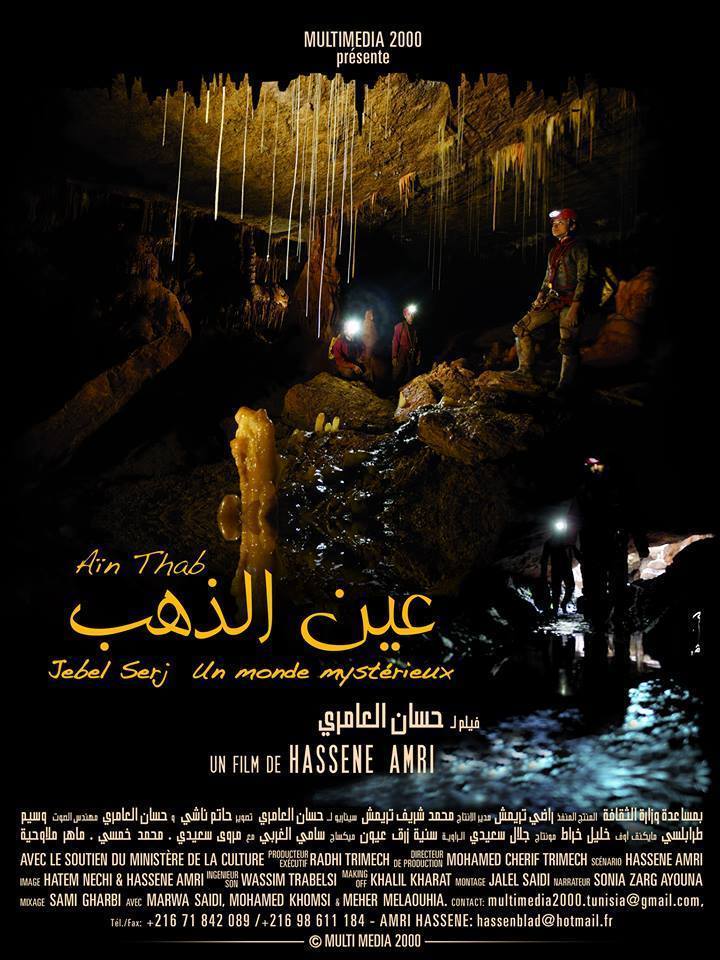 Affiche du film Aïn Dhab